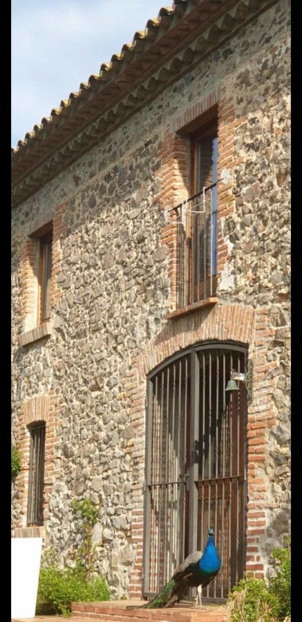 Villa Del Remei Vidreres Exterior foto