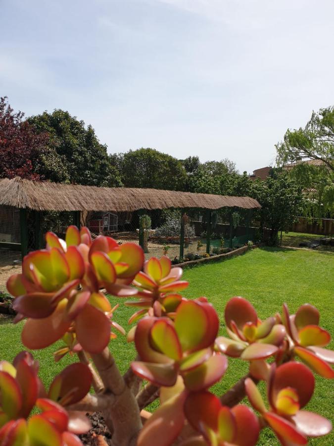 Villa Del Remei Vidreres Exterior foto